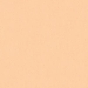 3531-22 Обои A.S. Creation Bjorn