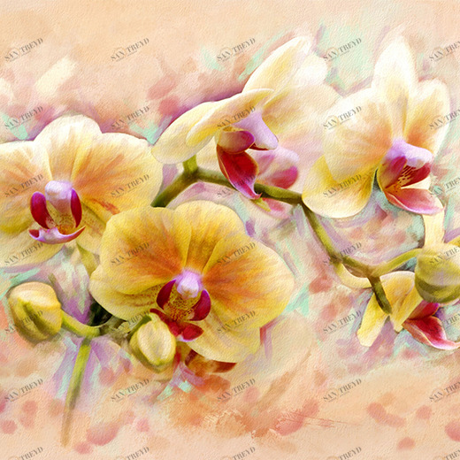 C1-300 Фотообои DIVINO Collection C 1.47х2 м C1300