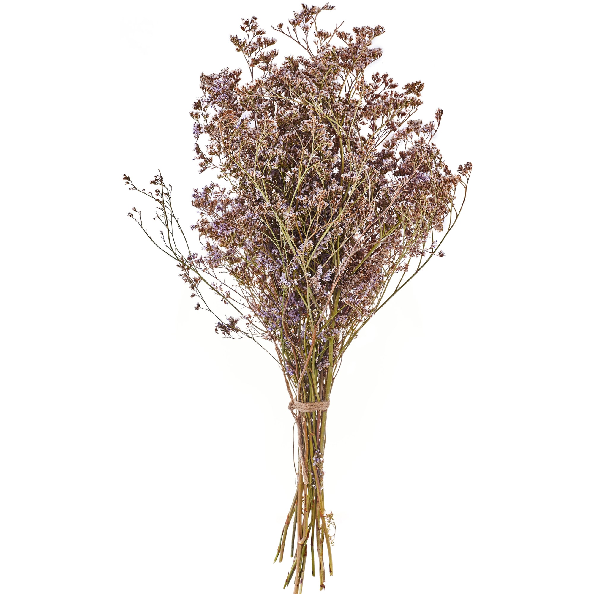 82355441 Букет из сухоцветов Лимониум Santreyd  - Вид №2