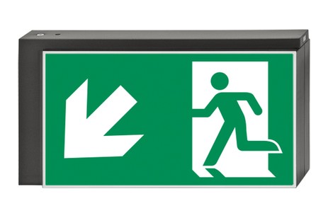 DST-2941 Lisu pennant Daisalux Светильники сигнальные Металлический Серый 