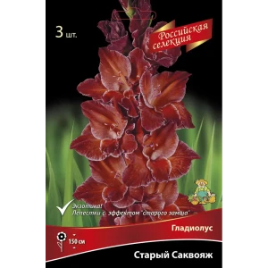 Гладиолус Старый саквояж, 3 шт. 89351826 STLM-2036849