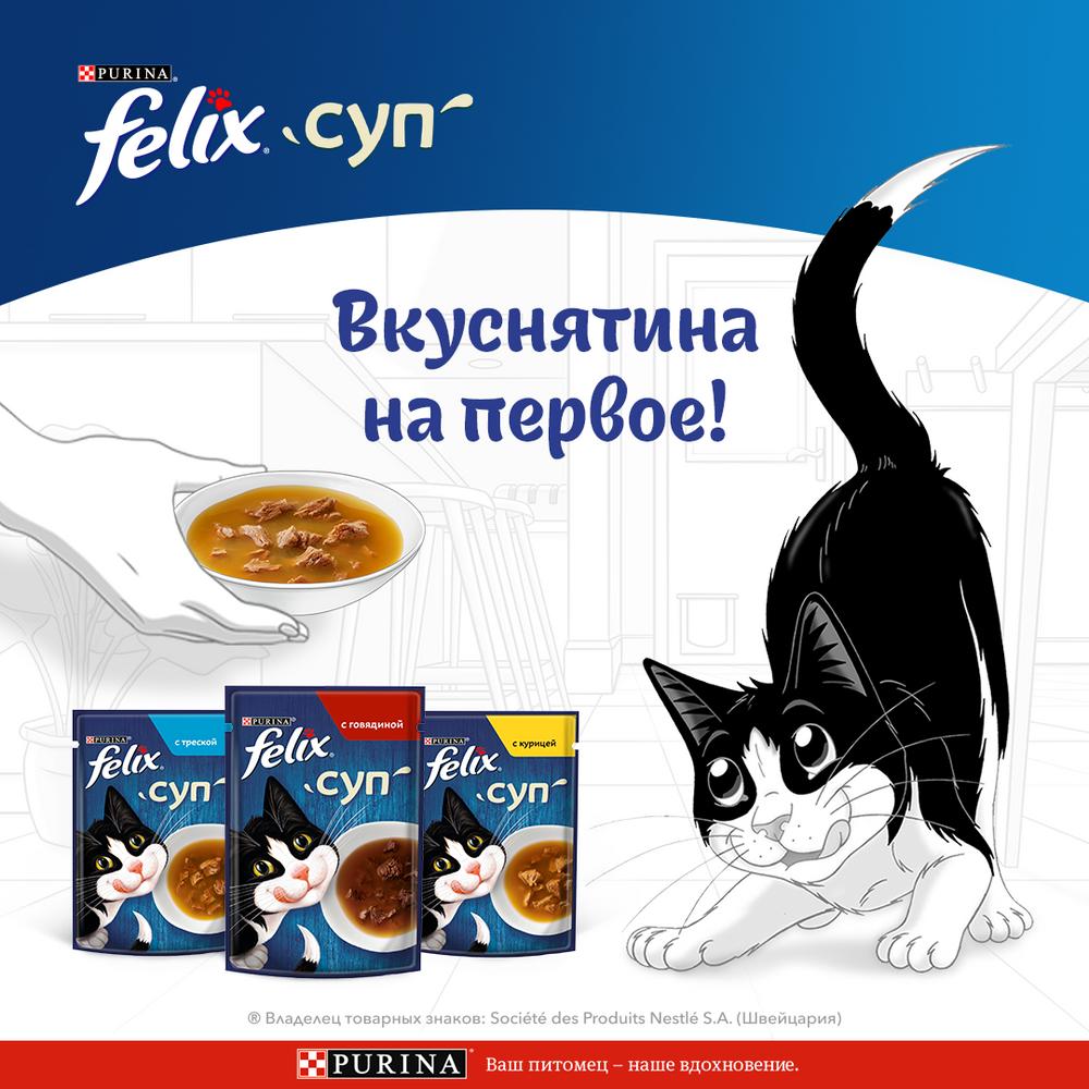 ПР0048793 Корм для кошек Суп с говядиной, пауч 48 г FELIX  - Вид №2
