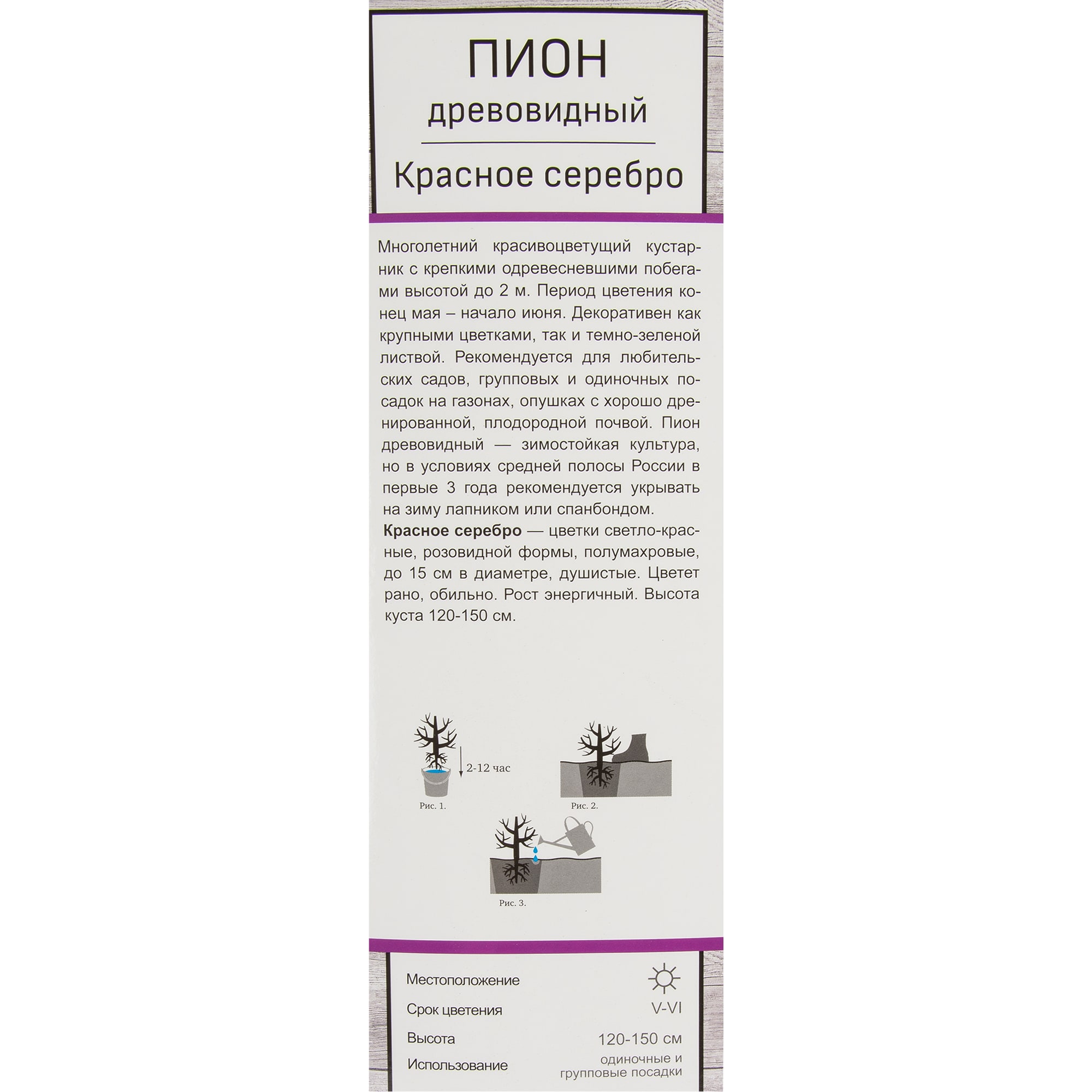 82527824 Пион древовидный Красное Серебро Santreyd  - Вид №2