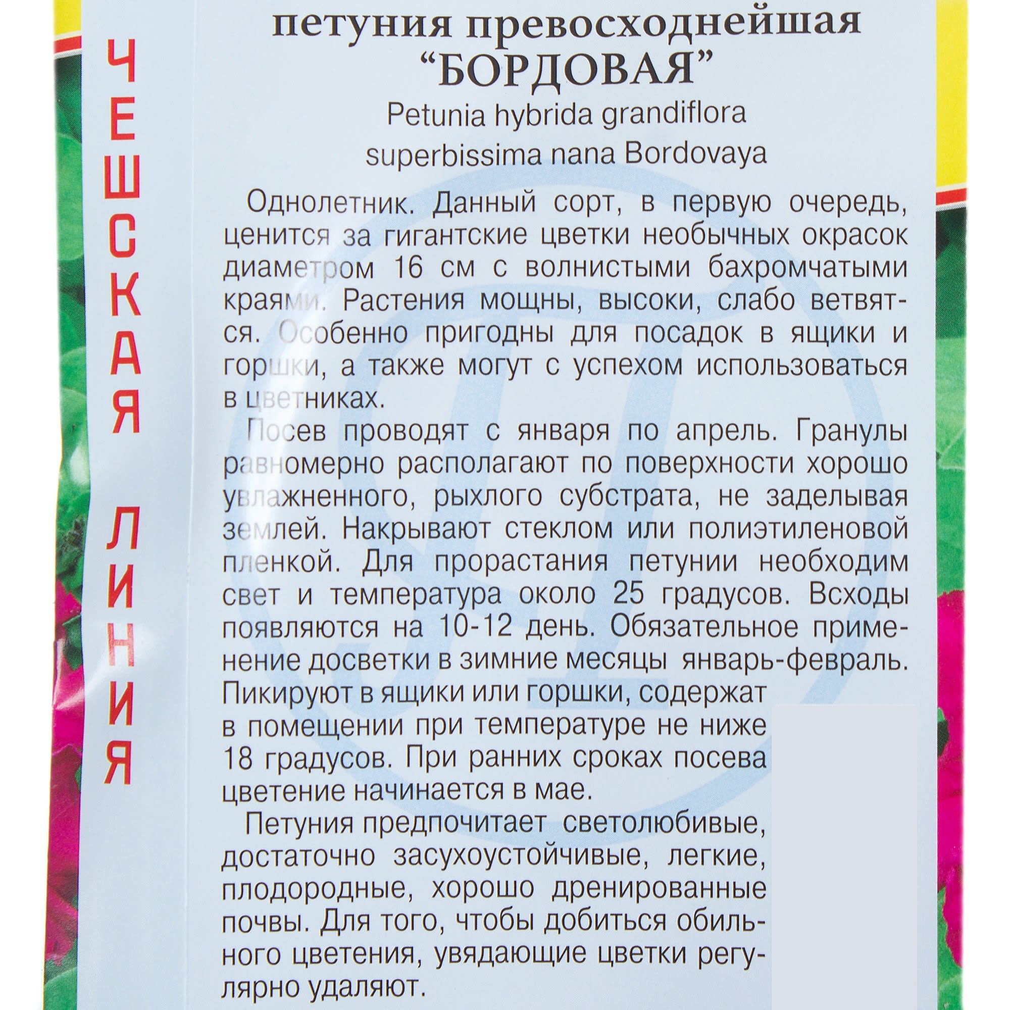 17301475 Петуния превосходнейшая «Бордовая» Santreyd  - Вид №2