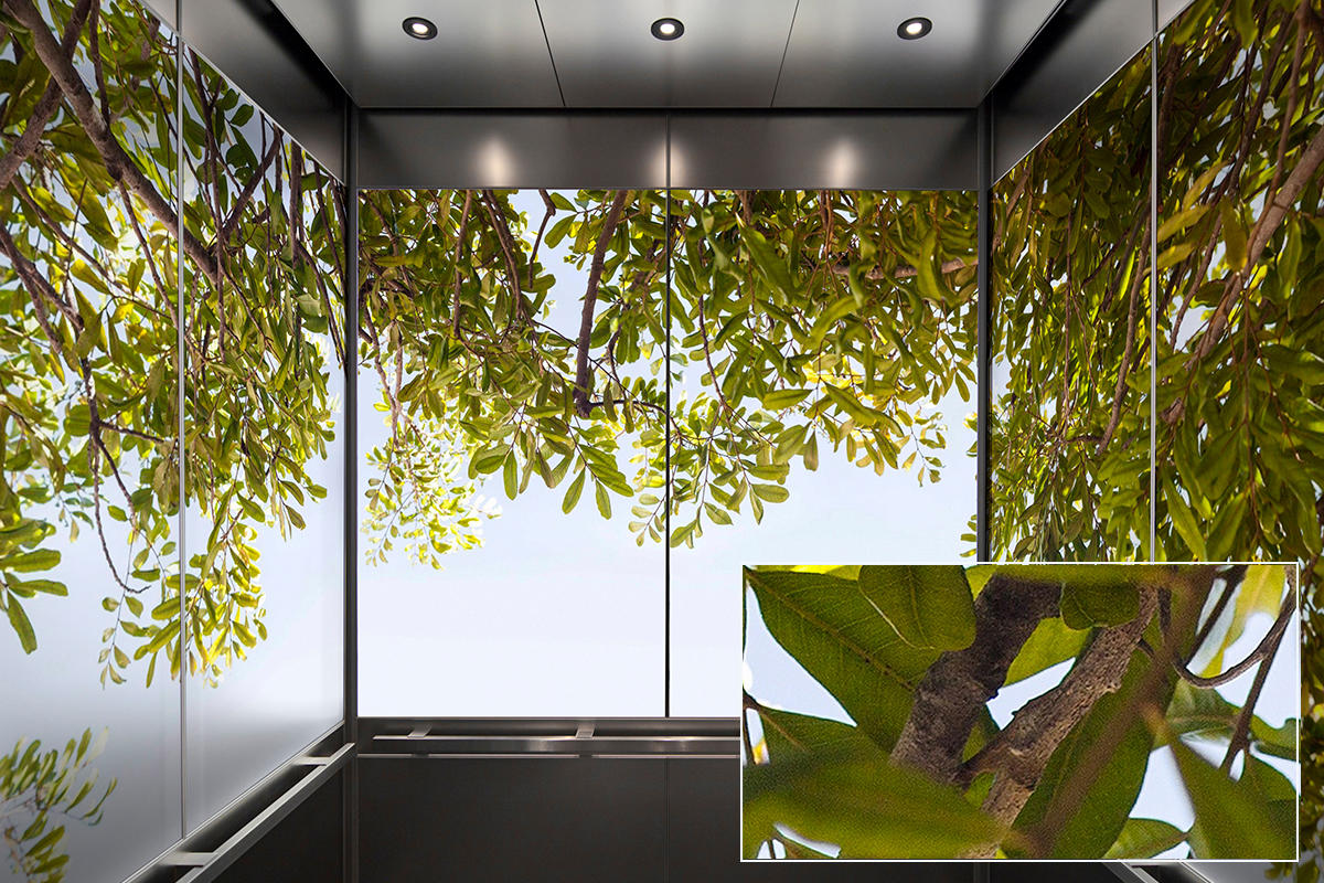 FSRT381 Зум-стекло vivispectra с прослойкой сакраменто горы  Forms-surfaces  - Вид №17