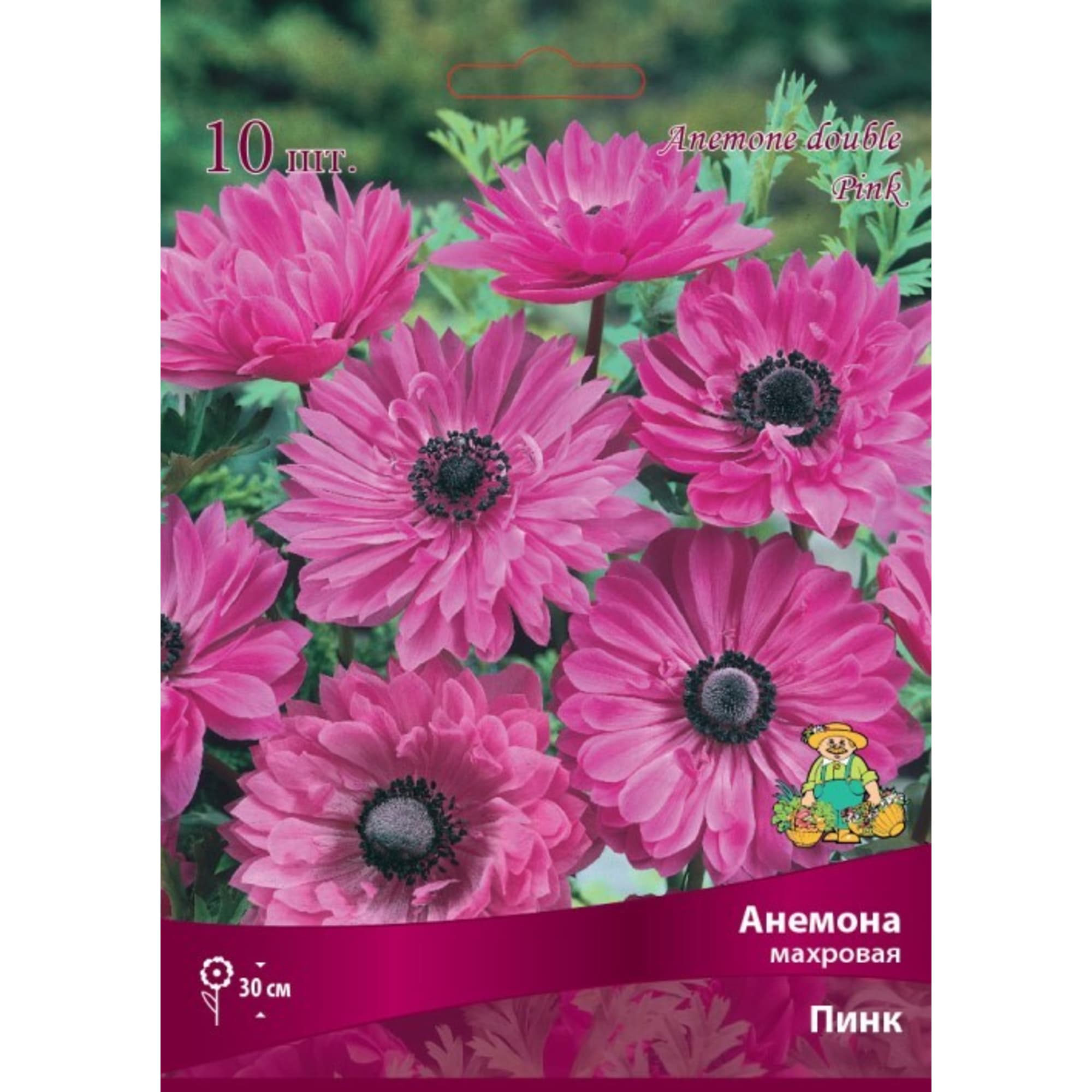 83593862 Анемона махровая Пинк луковица 5/6 Santreyd 
