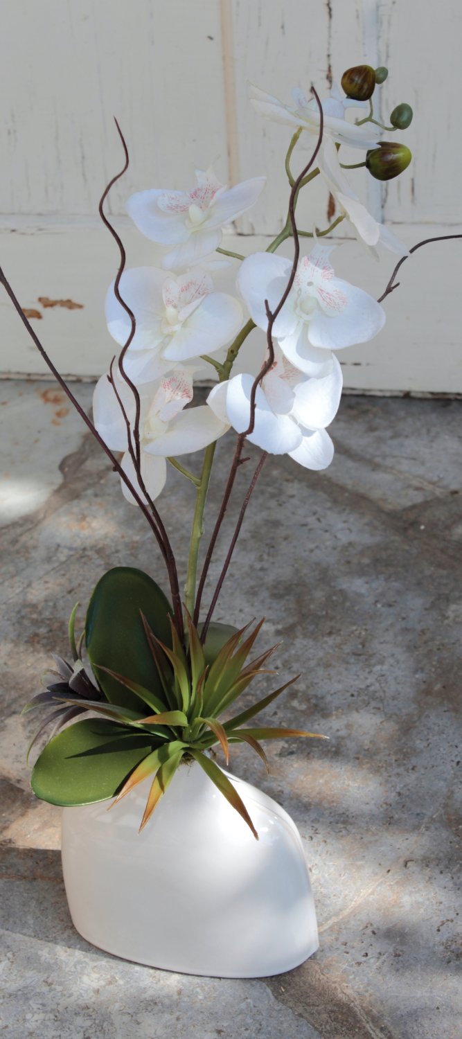 2769 778 a3 Пластиковая орхидея Phalaenopsis в керамической бутылке, 64 см, бежево-белая H-andreas  - Вид №4