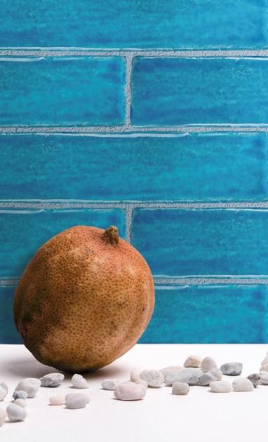 Danilo Ramazzotti Внутренняя облицовка майоликой Mare Ma1 - Вид №2