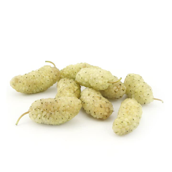 Шелковица белая Santreyd 4460