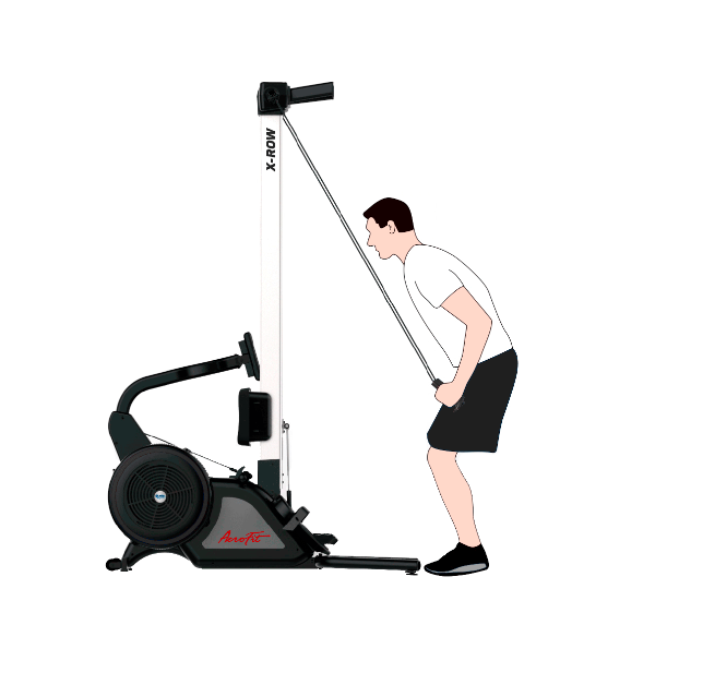 X-ROW Гребной тренажер aerofit x-row AeroFIT  - Вид №4