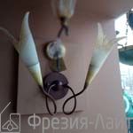 Florenz Lamp 2181.02M бра 771