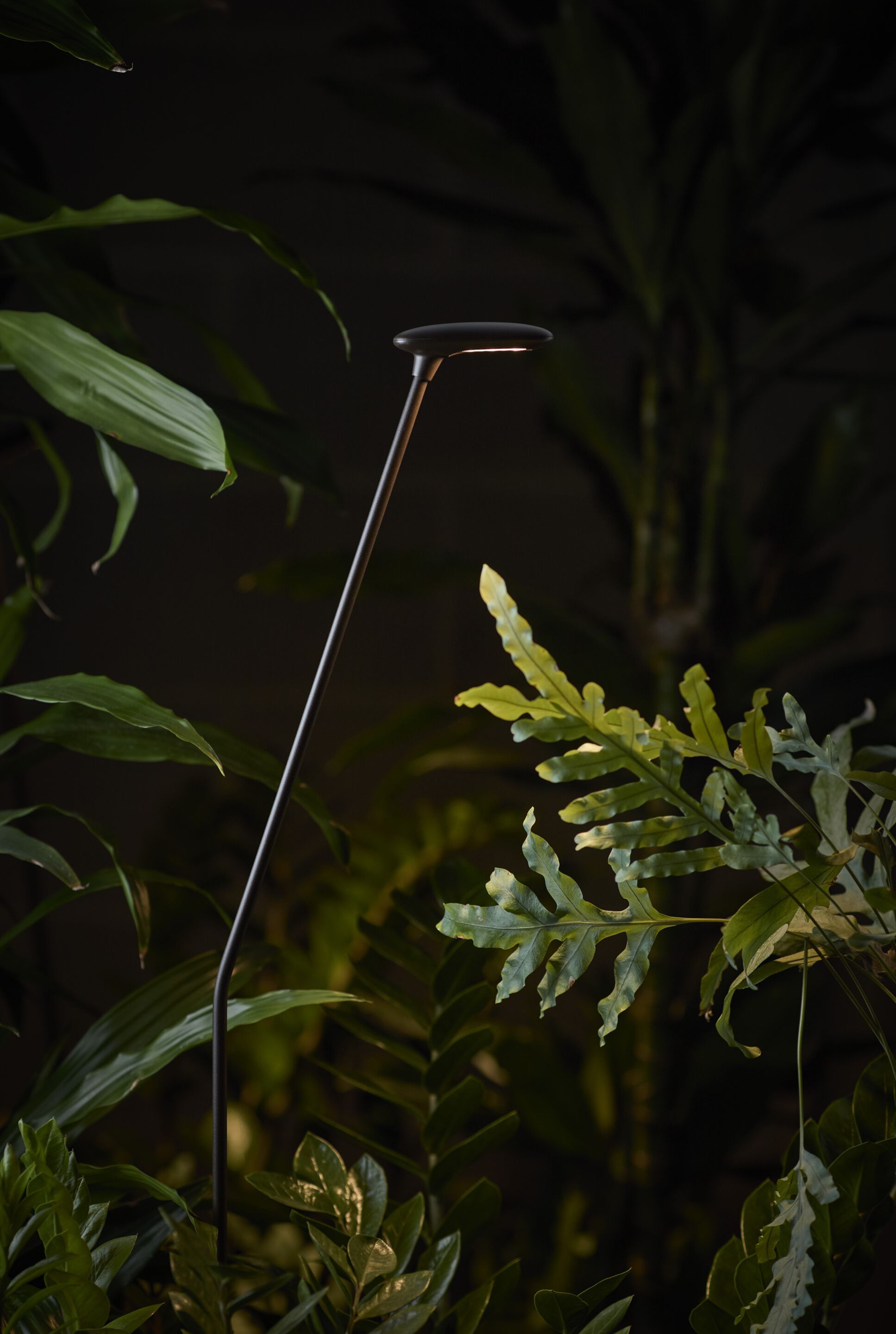 Светодиодный световой столб Bover птичка ARCH-00083764 - Вид №2