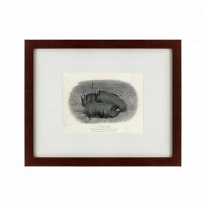 Литография на тонированной бумаге 42х52 см A pen of three pigs, 1874 КАРТИНЫ В КВАРТИРУ  135690 Бежевый;белый;коричневый;разноцветный