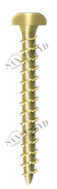 Винт TM 02 45 045 TM02 Tecfi 4,5 х 45 