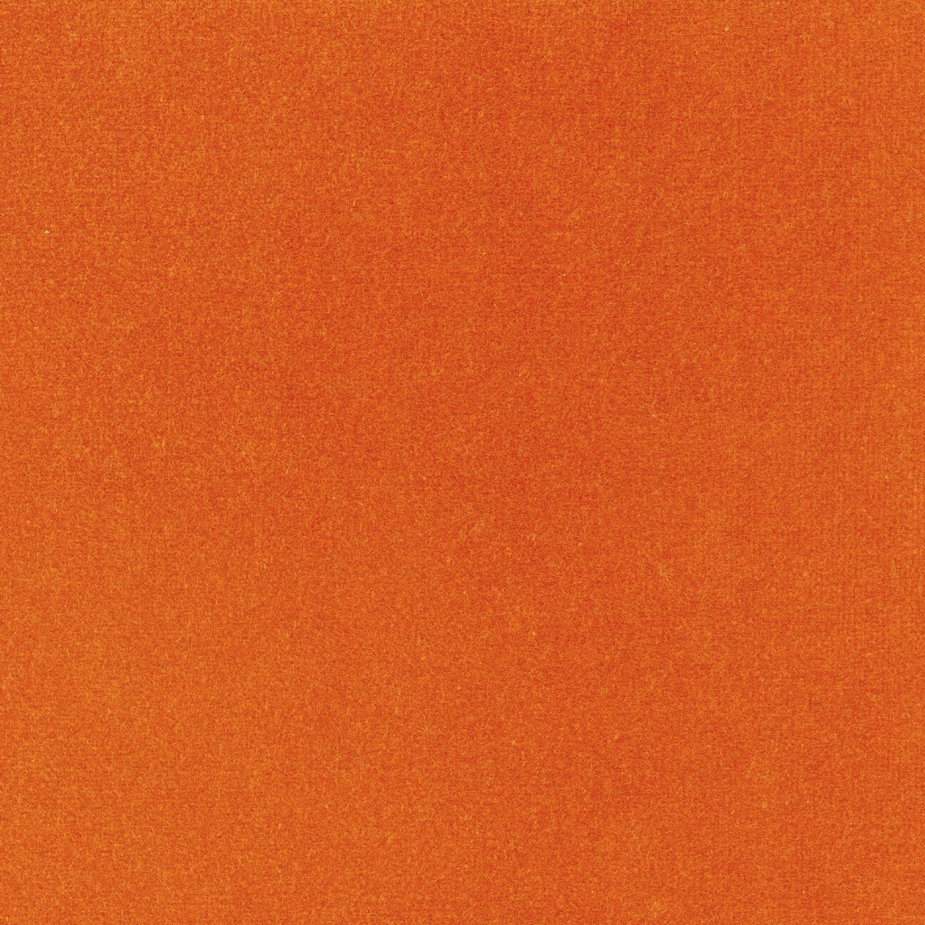 Бархатная однотонная ткань Élitis Palatine ARCH-00143253 - Вид №16