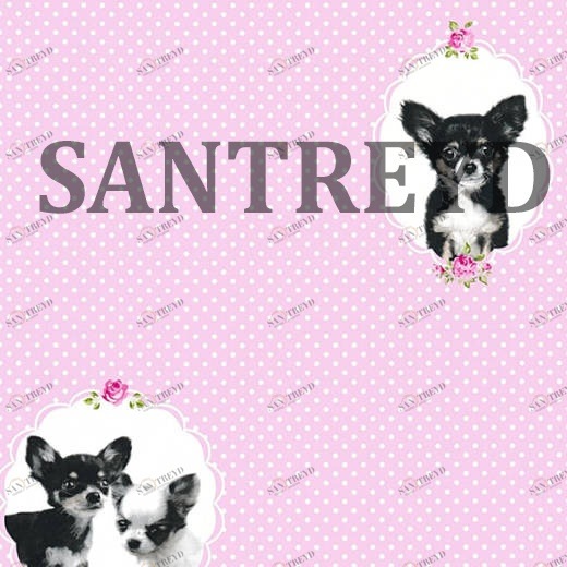 35851-1 Обои A.S. Creation Little Stars 358511