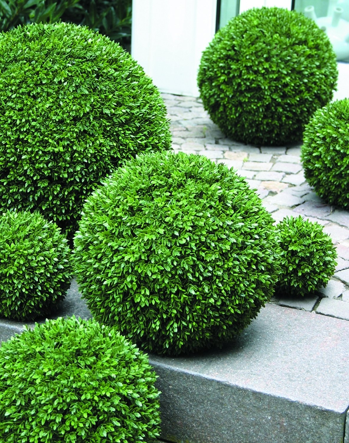 4976 883 a3 Искусственный шар самшит, синтетический материал, Ø 40 см, зеленый H-andreas 