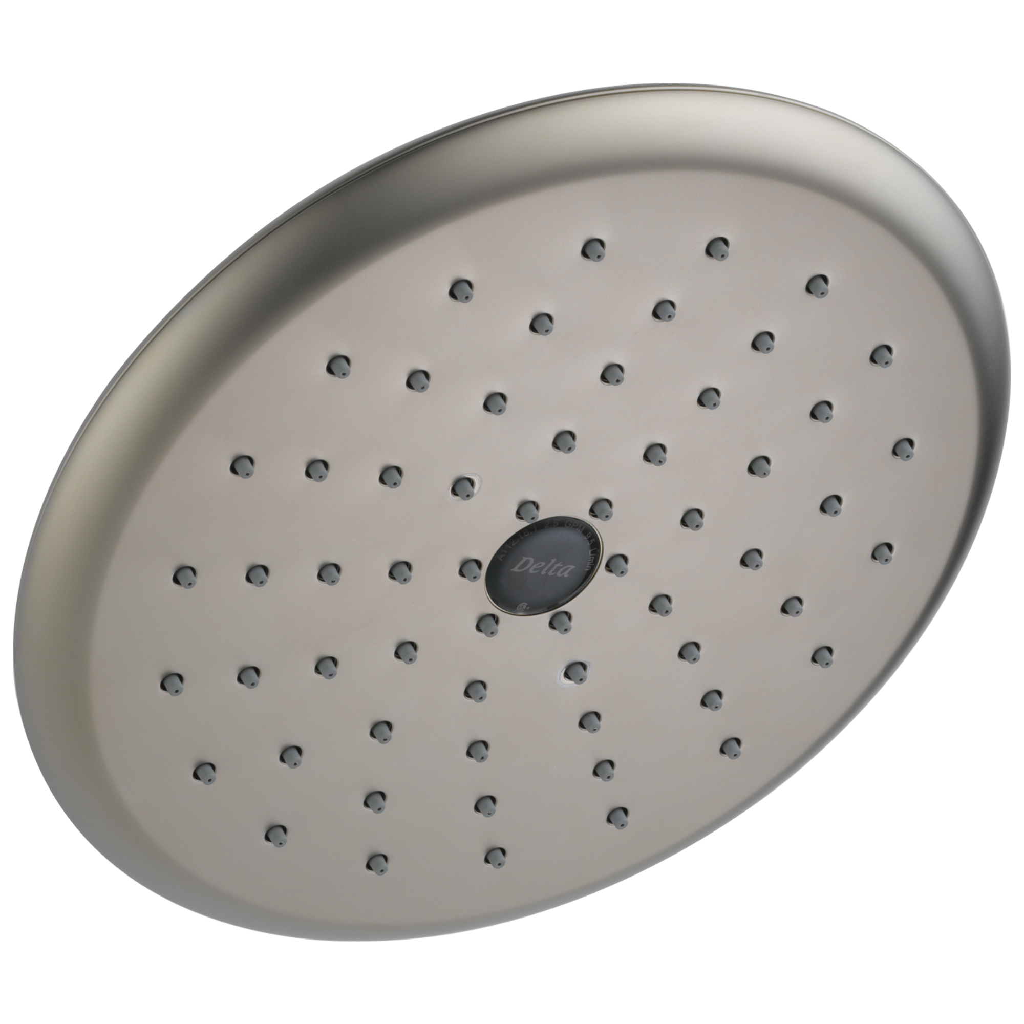RP52382SS Душевая лейка Raincan с одинарной настройкой Delta Faucet Universal Showering Нержавеющая сталь 