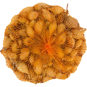 Лук-севок «Купидо» F1