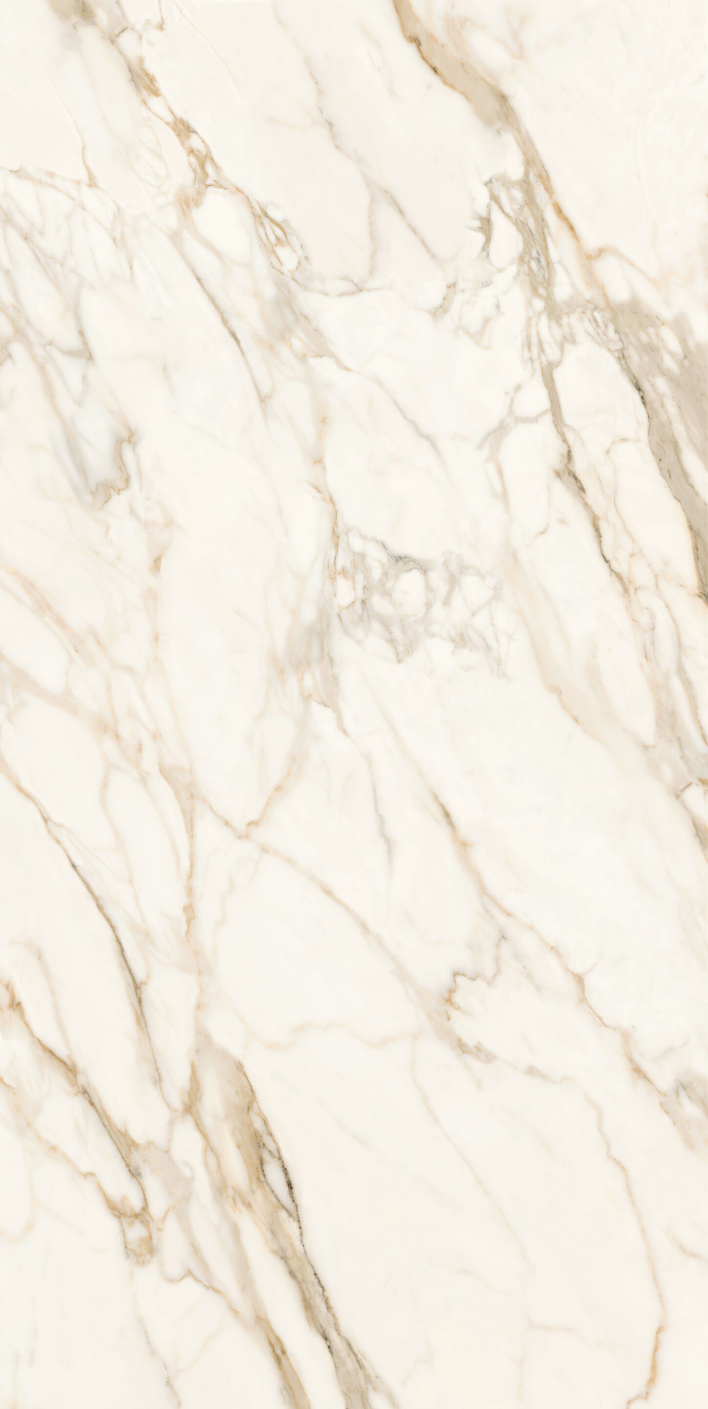 Столешница из керамогранита с мраморным эффектом CERAMICA FONDOVALLE MYTOP ARCH-00067608 - Вид №1