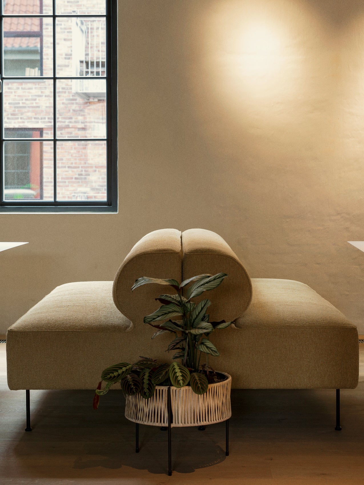 5709262044641 Обеденный диван Eave LuceLight  - Вид №2