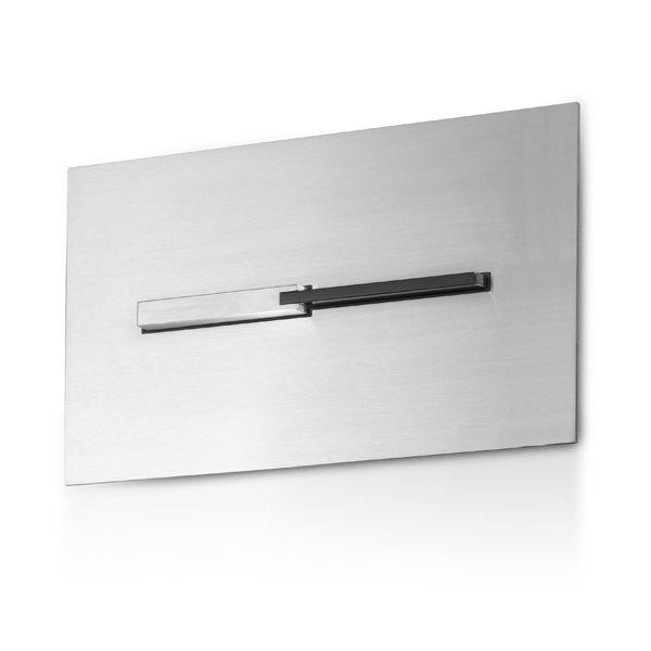 Двойная кнопка смыва с 2 кнопками для системы Geberit INS500 linki 