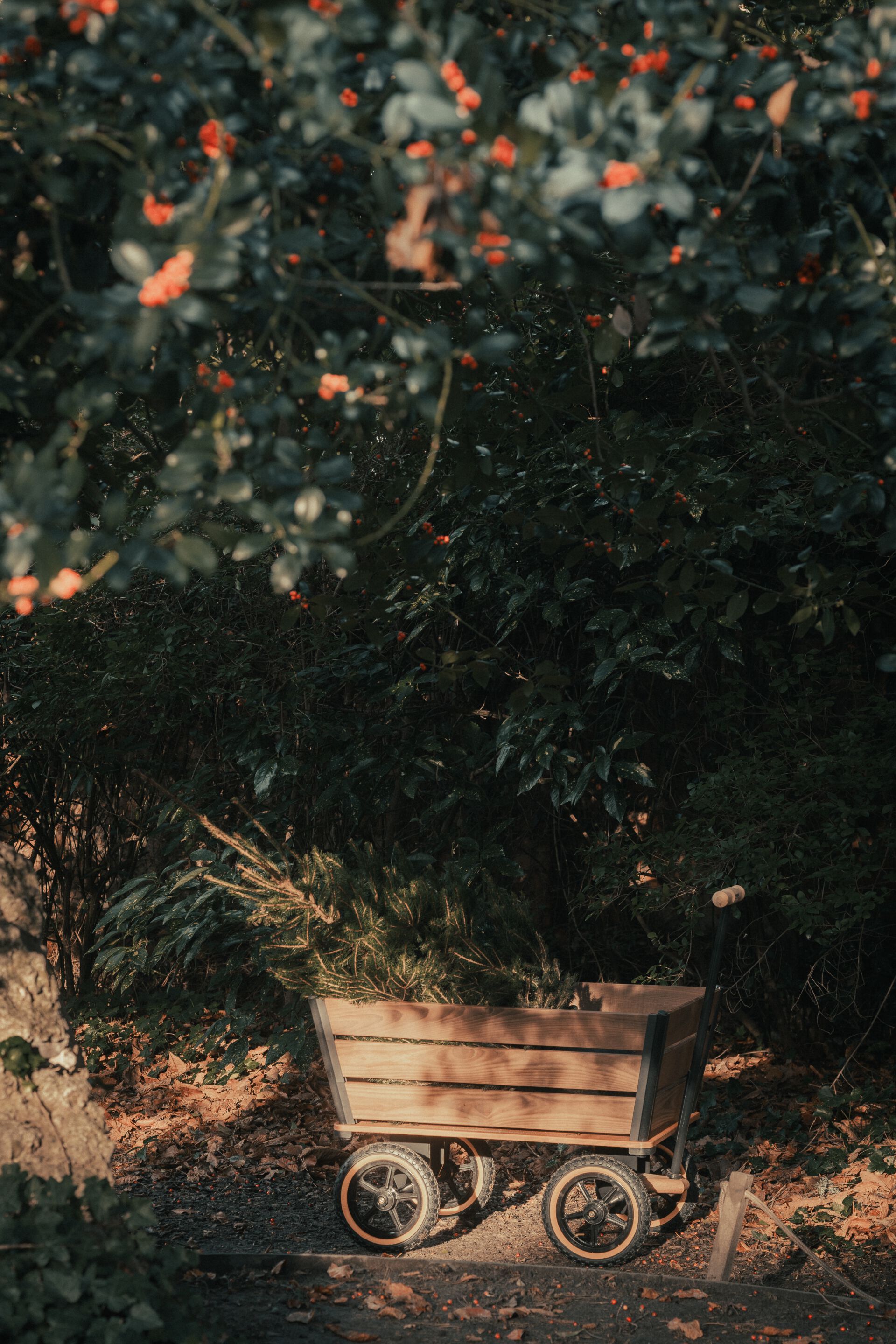 Садовая тележка TRADEWINDS THE PLANK WAGON ARCH-00043245 - Вид №4