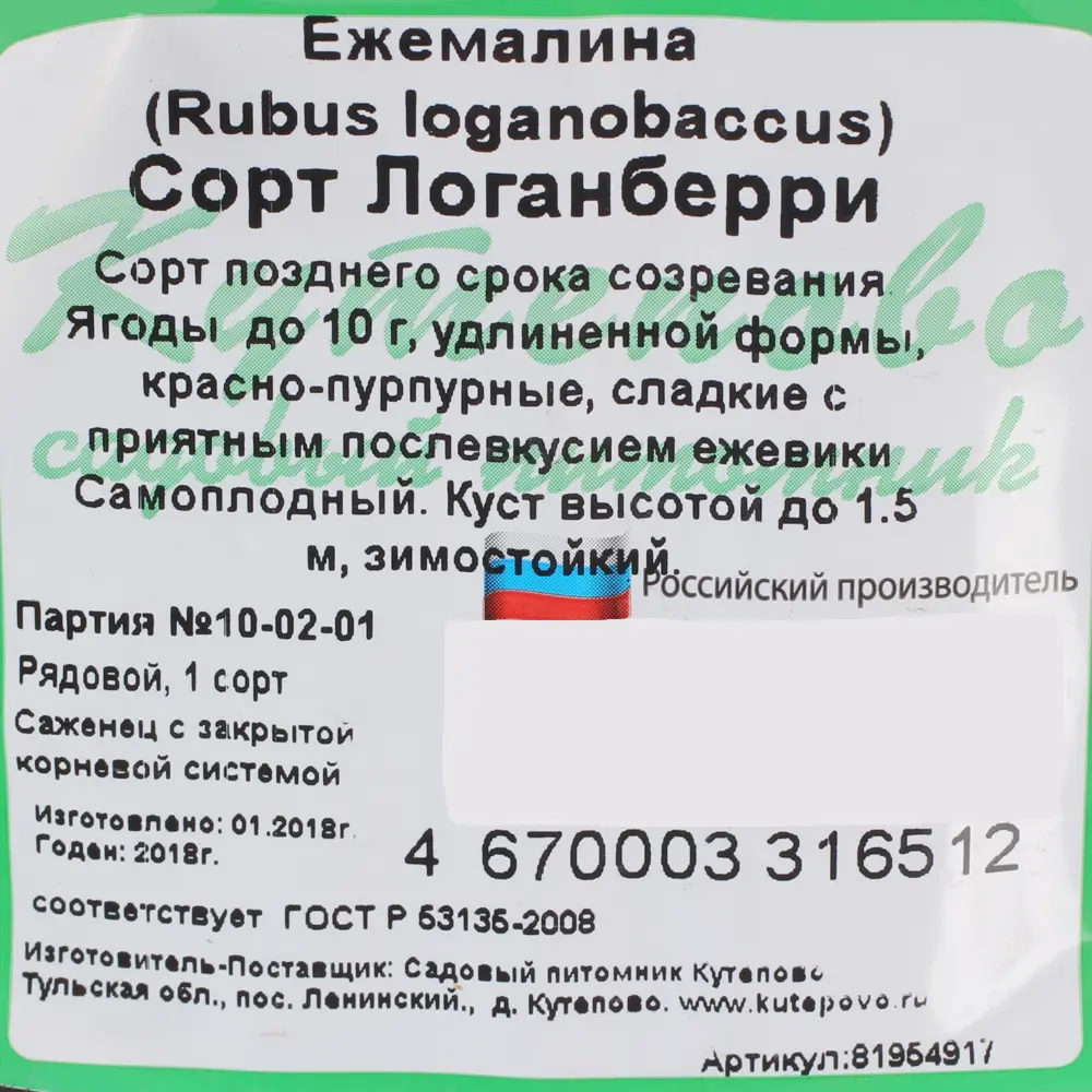 Santreyd Ежемалина Логанберри - уникальный гибрид с ежевичным вкусом 81954917 STLM-0015222 - Вид №2