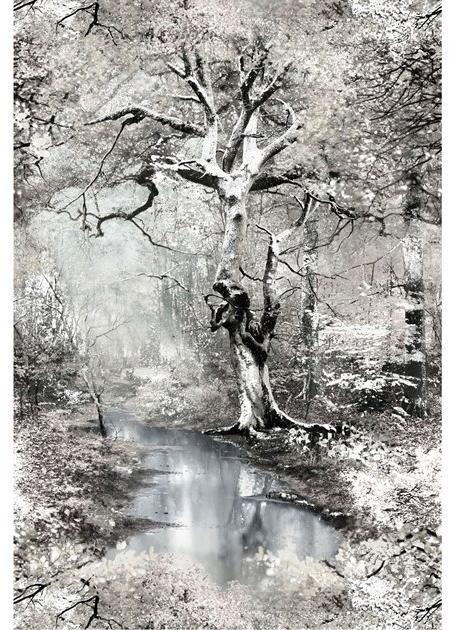 LELIEVRE Флизелиновые обои с пейзажами Jean paul gaultier - pop rock 3337 - Вид №1