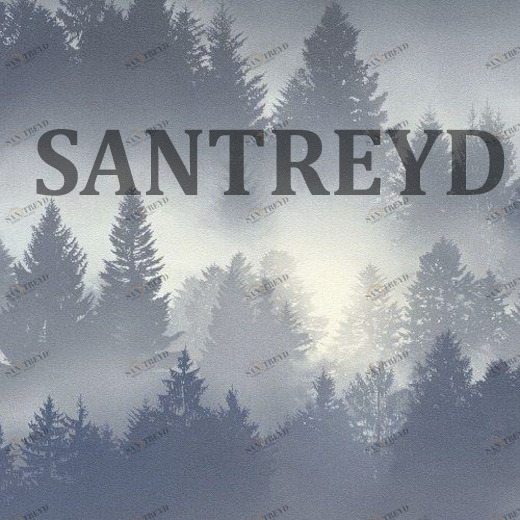 860832 Обои Rasch Barbara B.II