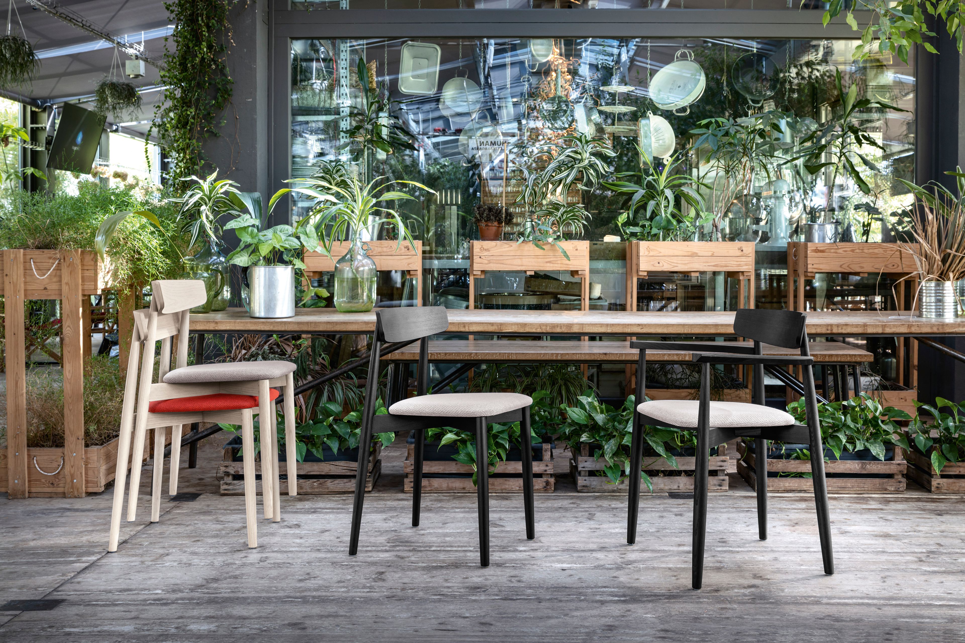 Деревянный штабелируемый стул Miniforms Claretta ARCH-00144527 - Вид №6