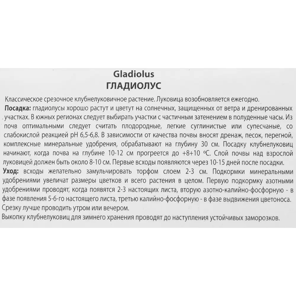 Гладиолус крупноцветковый Мисс Грин, 3 шт 86410025 STLM-2193071 ПОИСК  - Вид №2