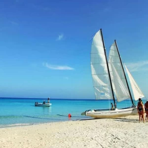 WP00435 Фотообои Verol Фотообои decoline 1х1 м