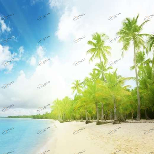 WP01185 Фотообои Verol Фотообои decoline 1х1 м