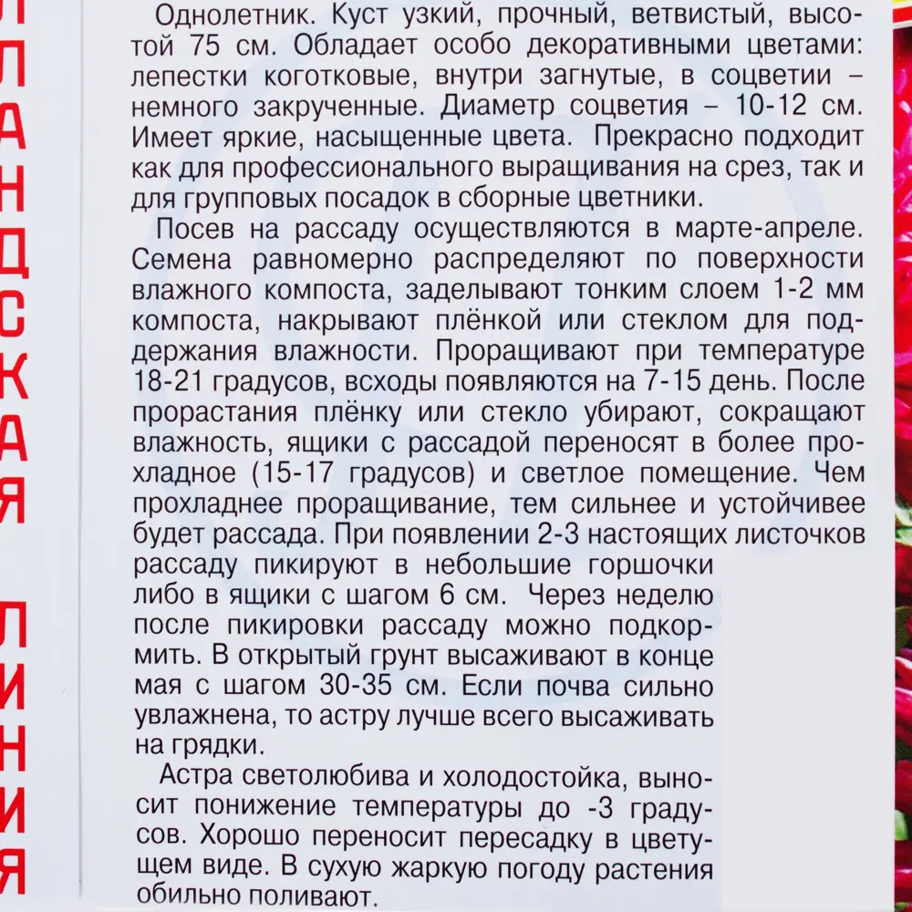 Астра «Гримлин», цвет красный 81931595 STLM-2036588 ПРЕСТИЖ СЕМЕНА  - Вид №2