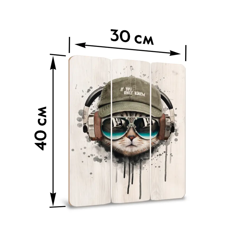 Картина на МДФ Кот хипстер 30x40 см POSTERMARKET STLM-2169949 - Вид №6