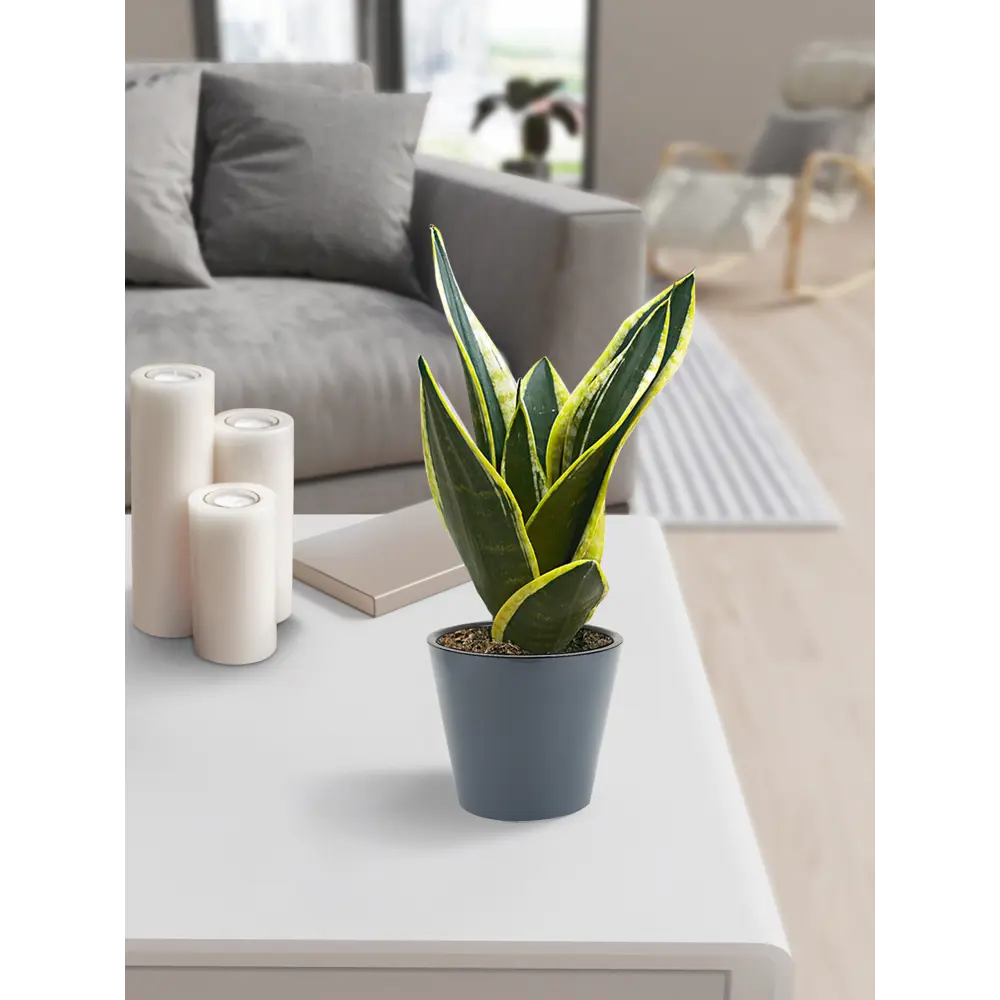 IDI LAND Кашпо London серое с терморегуляцией корней 83994167 STLM-0045966 - Вид №3