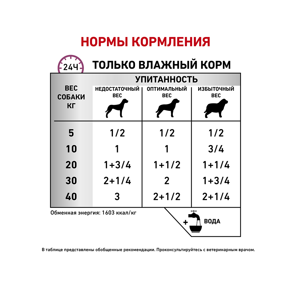 ПР0053548 Корм для собак Vet Diet Renal Special, при хронической почечной недостаточности банка 410г ROYAL CANIN  - Вид №3