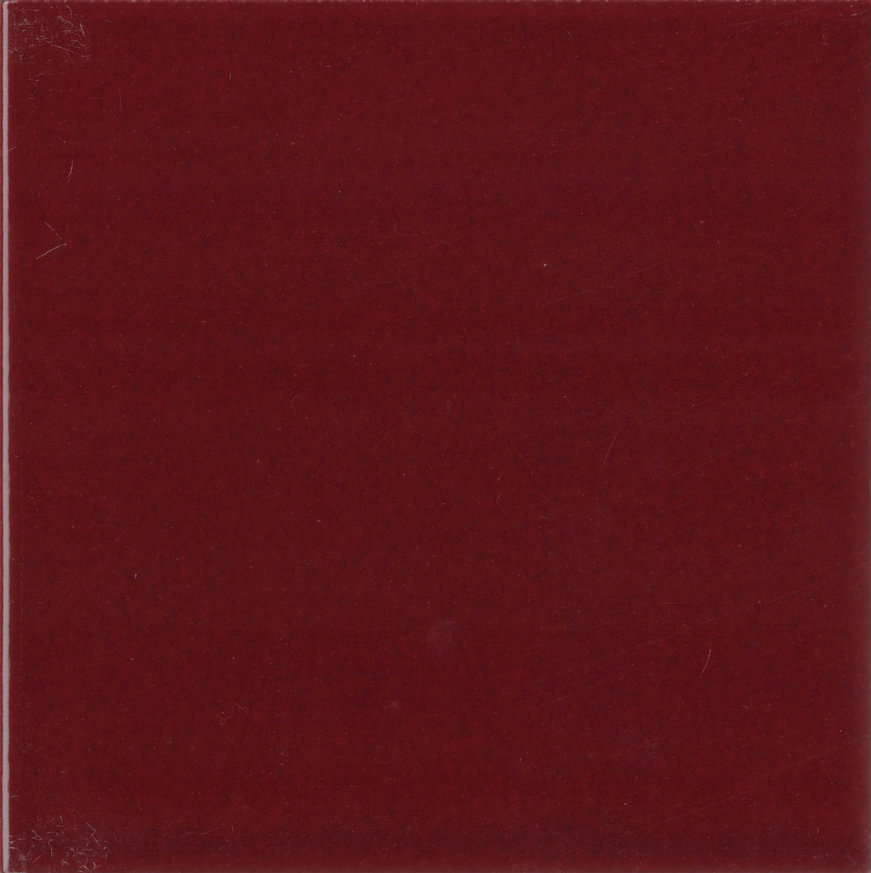 Пол / покрытие ручной работы La Riggiola одноцветный ARCH-00080124 - Вид №5