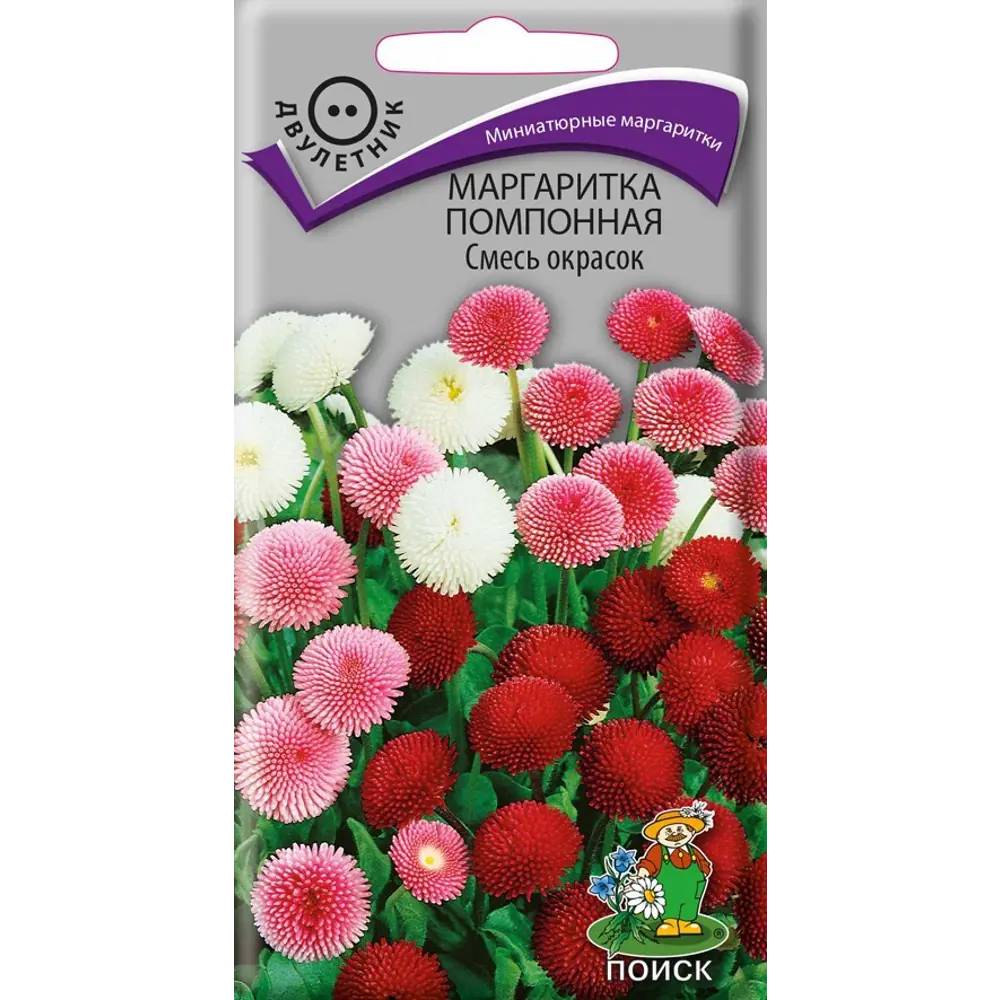 ПОИСК Маргаритка помпонная Сильвер фолс - миниатюрное украшение сада 89401235 STLM-1573945