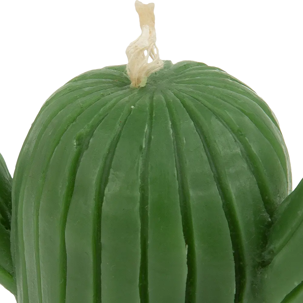 Свеча декоративная Кактус большой зеленая 6.6 см Santreyd STLM-2081522 - Вид №1