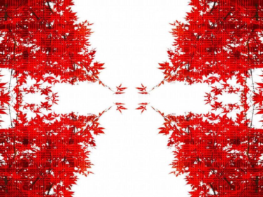 Architects Paper Обои с цифровой печатью Ap digital iv 109035 - Вид №1