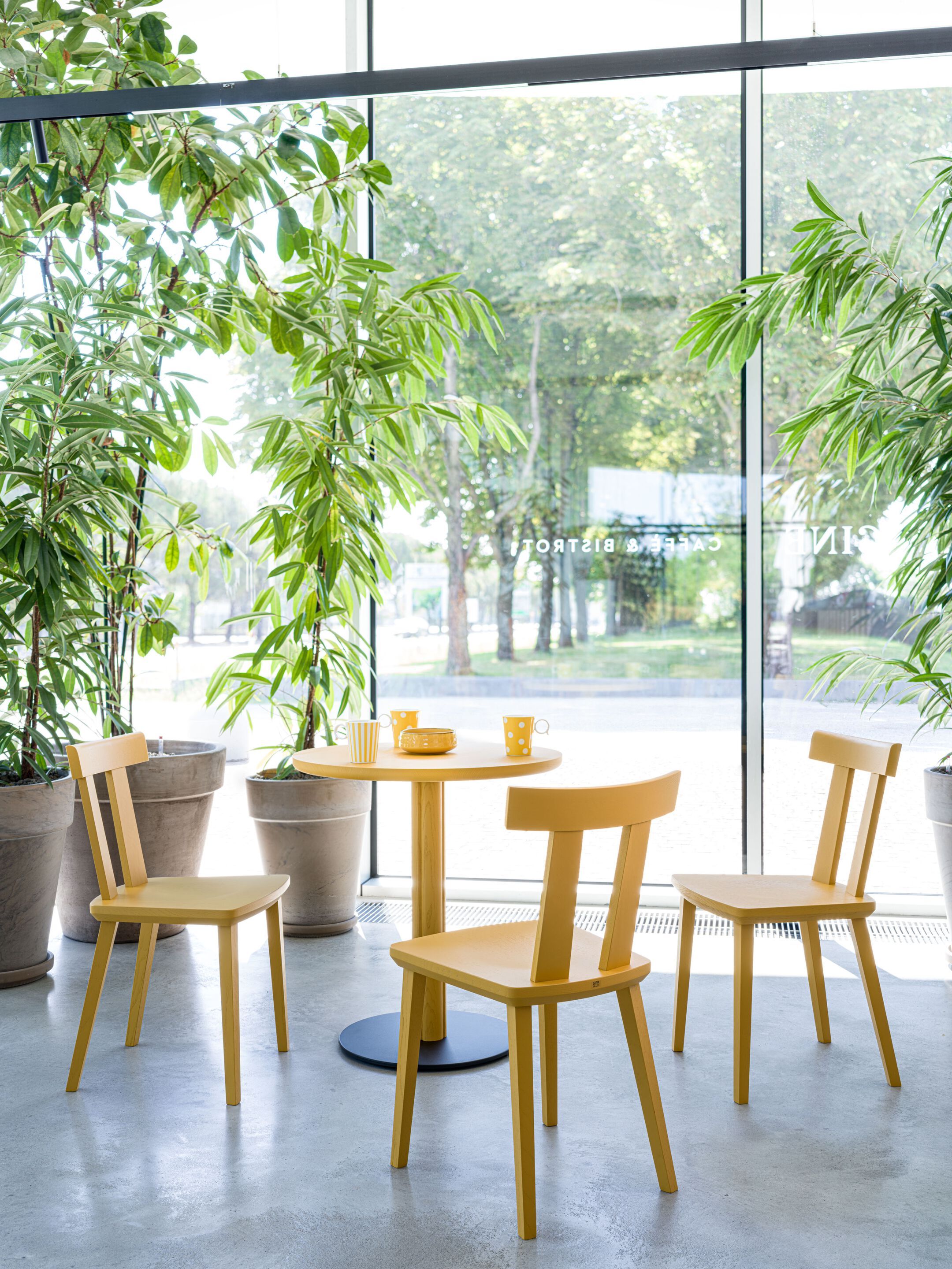 Деревянный стул SIPA Милан ARCH-00070782 - Вид №5