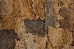 906 071 000 Рельефное пробковое настенное покрытие Sandstone GRANORTE RustiCork