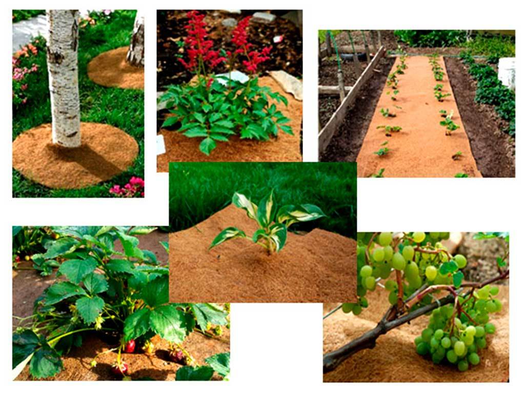 Круг приствольный Мульчаграм 60 см, комплект - 5шт ГеоПластБорд GPBST-236 - Вид №10