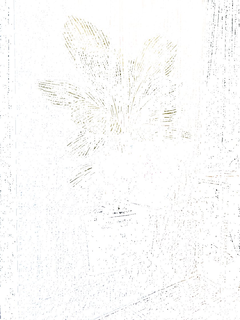 Equipo DRT Набивная ткань для штор sun-id-1414487 - Вид №4