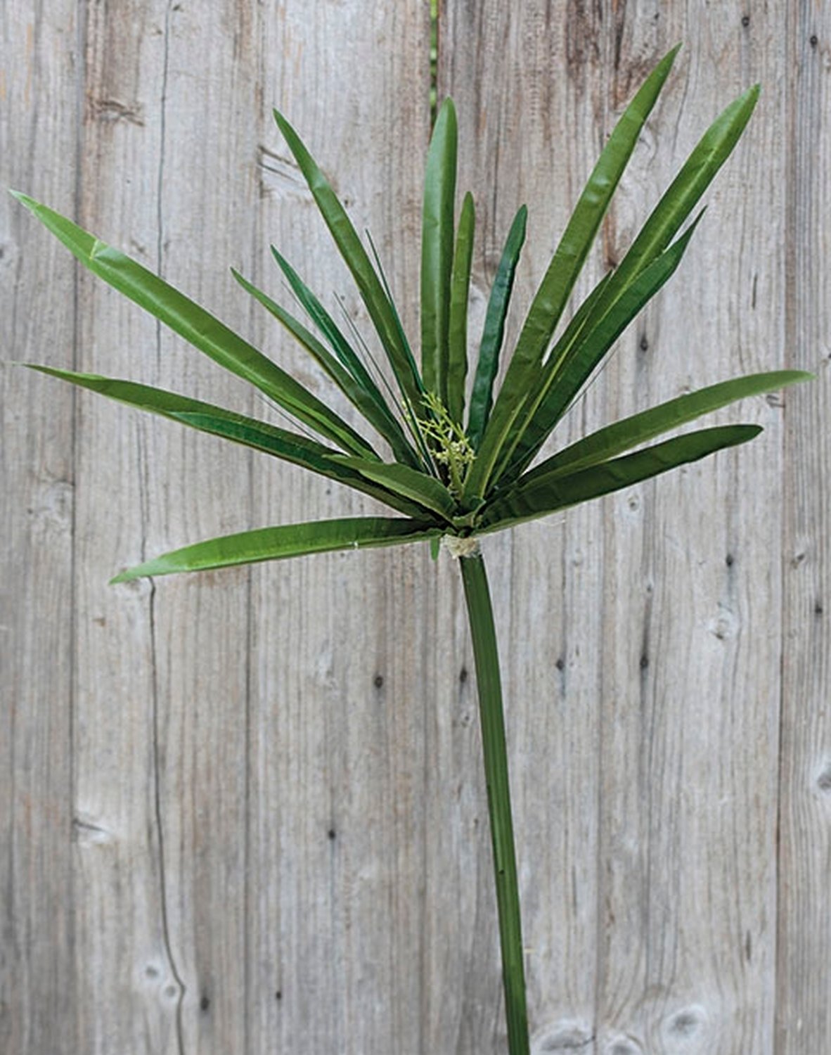 4813 883 a2 Искусственный орех, 150 см, зеленый H-andreas  - Вид №1