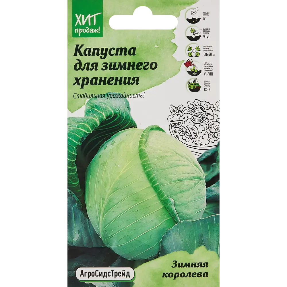 АГРОСИДСТРЕЙД Капуста Зимняя королева - семена для стабильного урожая 86263435 STLM-0067433