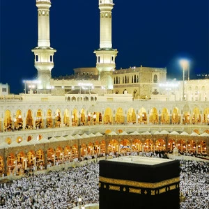 C1-194 Фотообои DIVINO Collection C 2.7х2 м