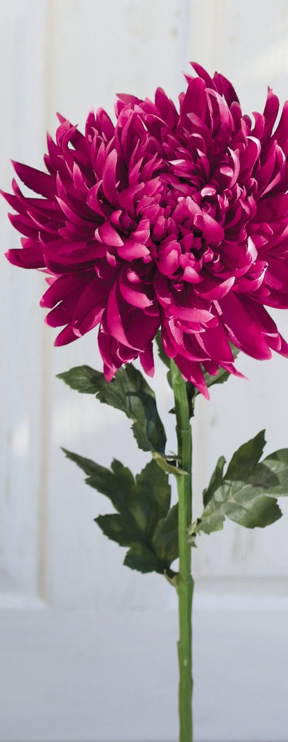 3411 299 a3 Пластиковая хризантема, 62 см, антично-темно-фиолетовый H-andreas  - Вид №3